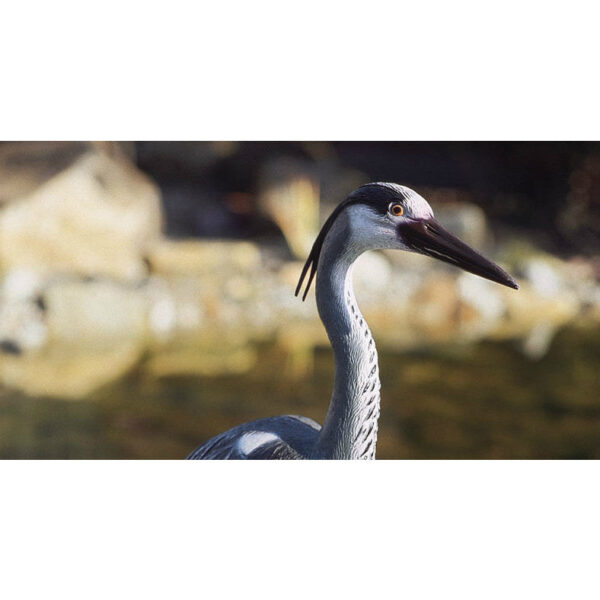 Plastic Figure Heron